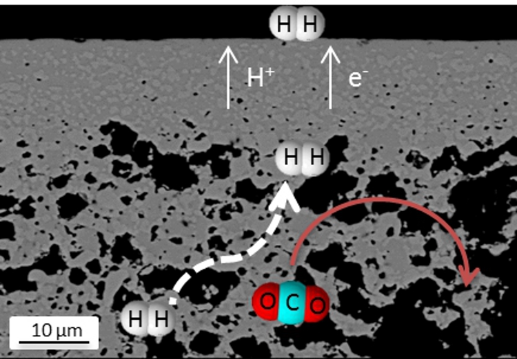 Hydrogen separation membrane microstructure and working principle