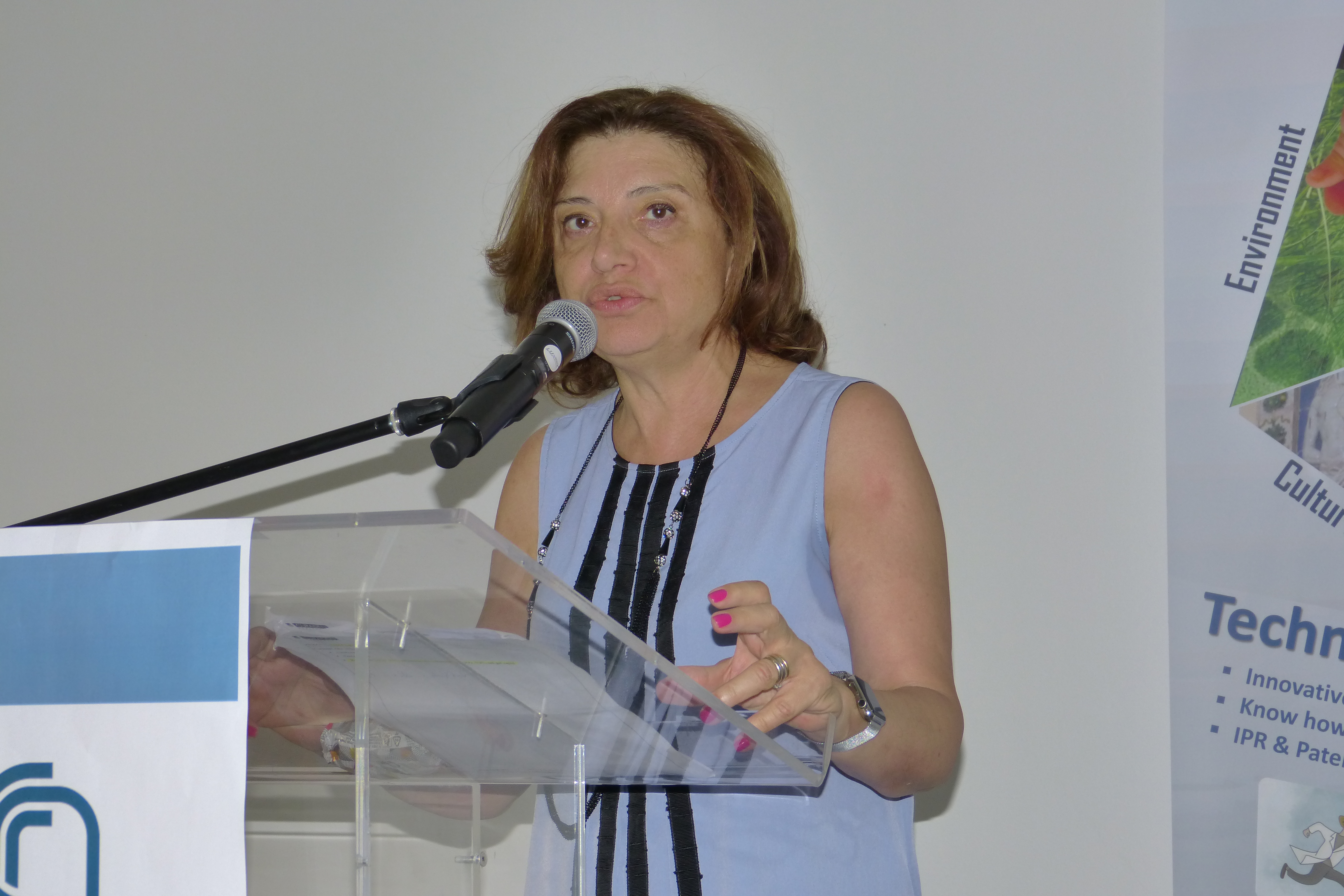 P1100104